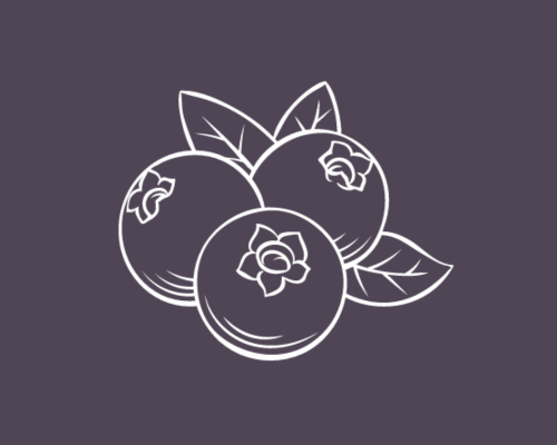 blueberry drawing on dark background