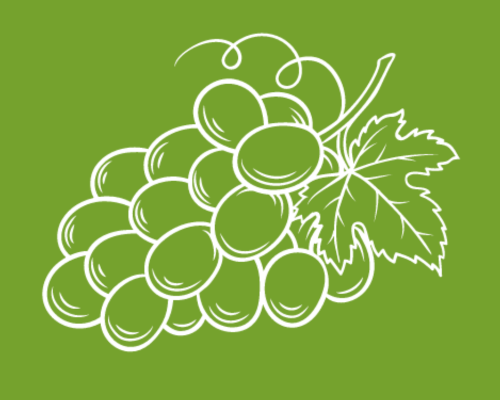 drawing of a bunch of grapes on a green background